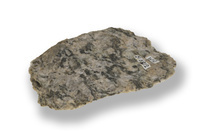 M 03312
<br/>
<br/>
<em></em>